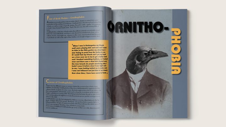 Bird Phobia Magazine Layout